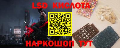 стаф Можга