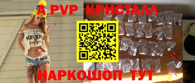 стаф Можга