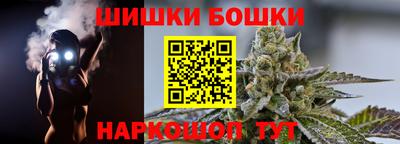 стаф Можга